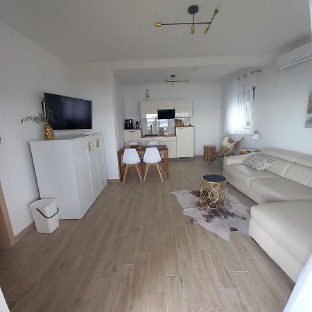 Apartmani Tin 斯塔利格拉德-帕克利尼卡 外观 照片