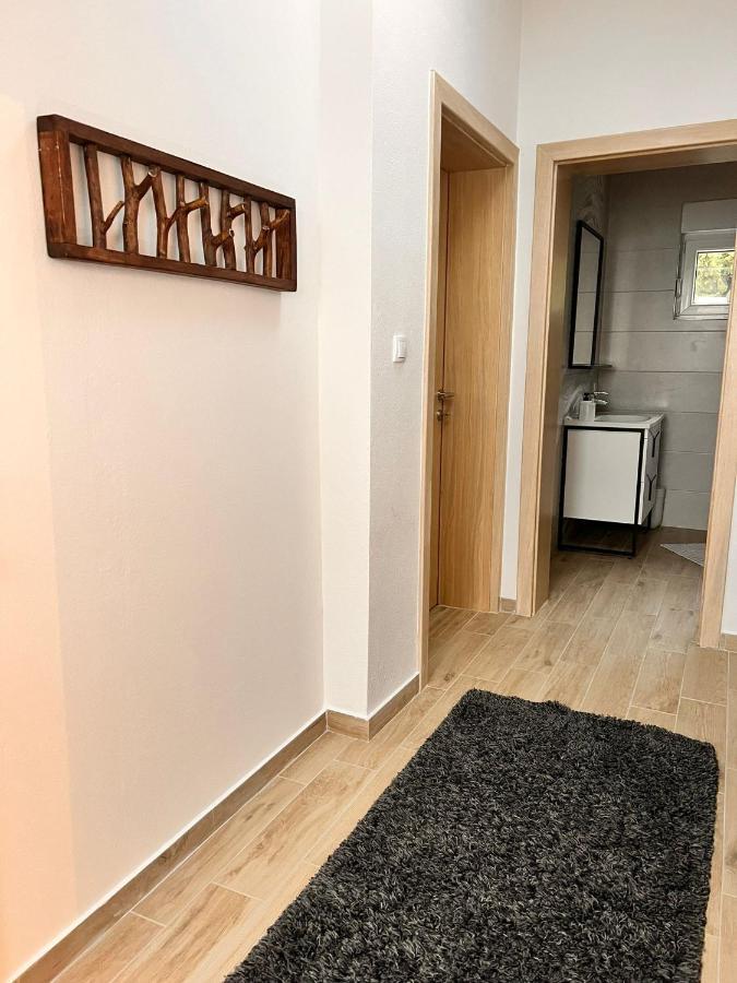 Apartmani Tin 斯塔利格拉德-帕克利尼卡 外观 照片